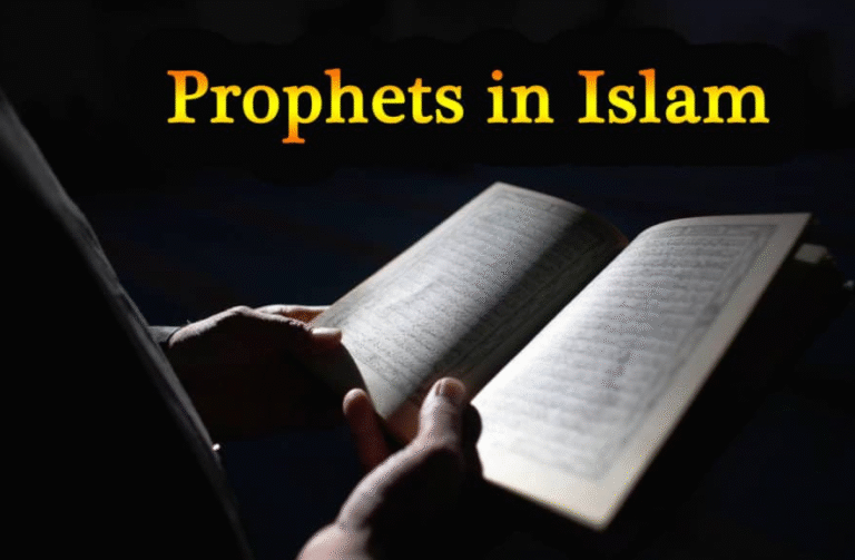 Lessons from the Lives of Prophetic Figures in the Quran